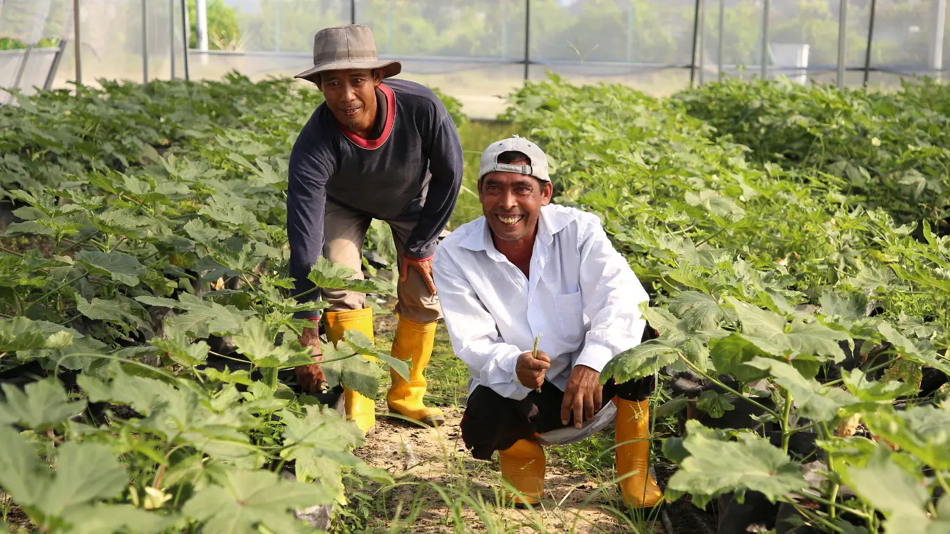 Agrotourism
