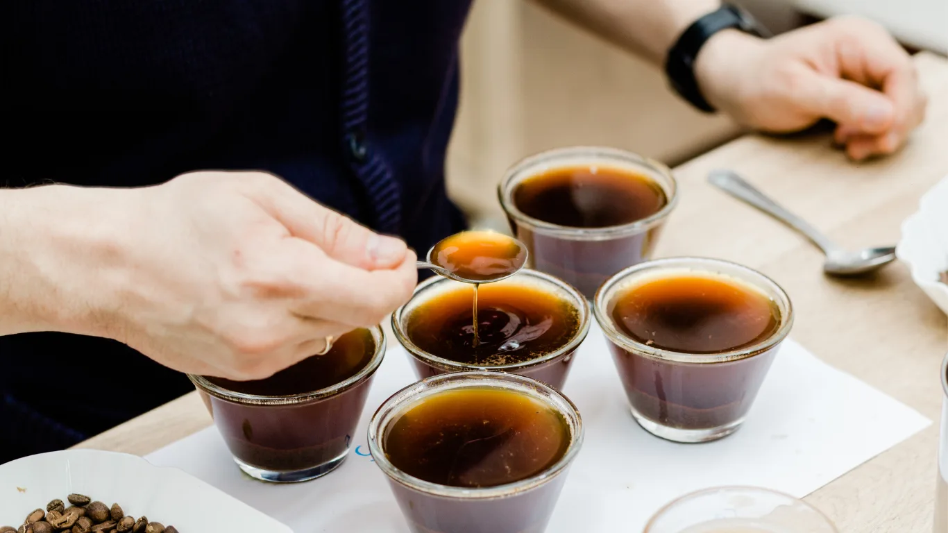 Coffee Safari